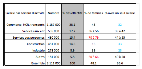 effectif entreprise secteurs