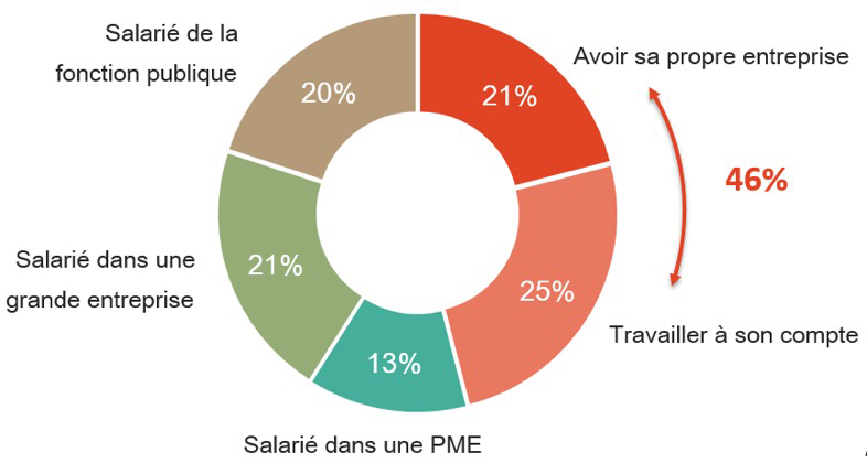 choix carrière entrepreneurs